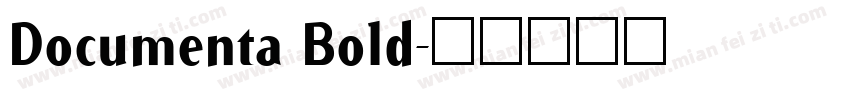 Documenta Bold字体转换